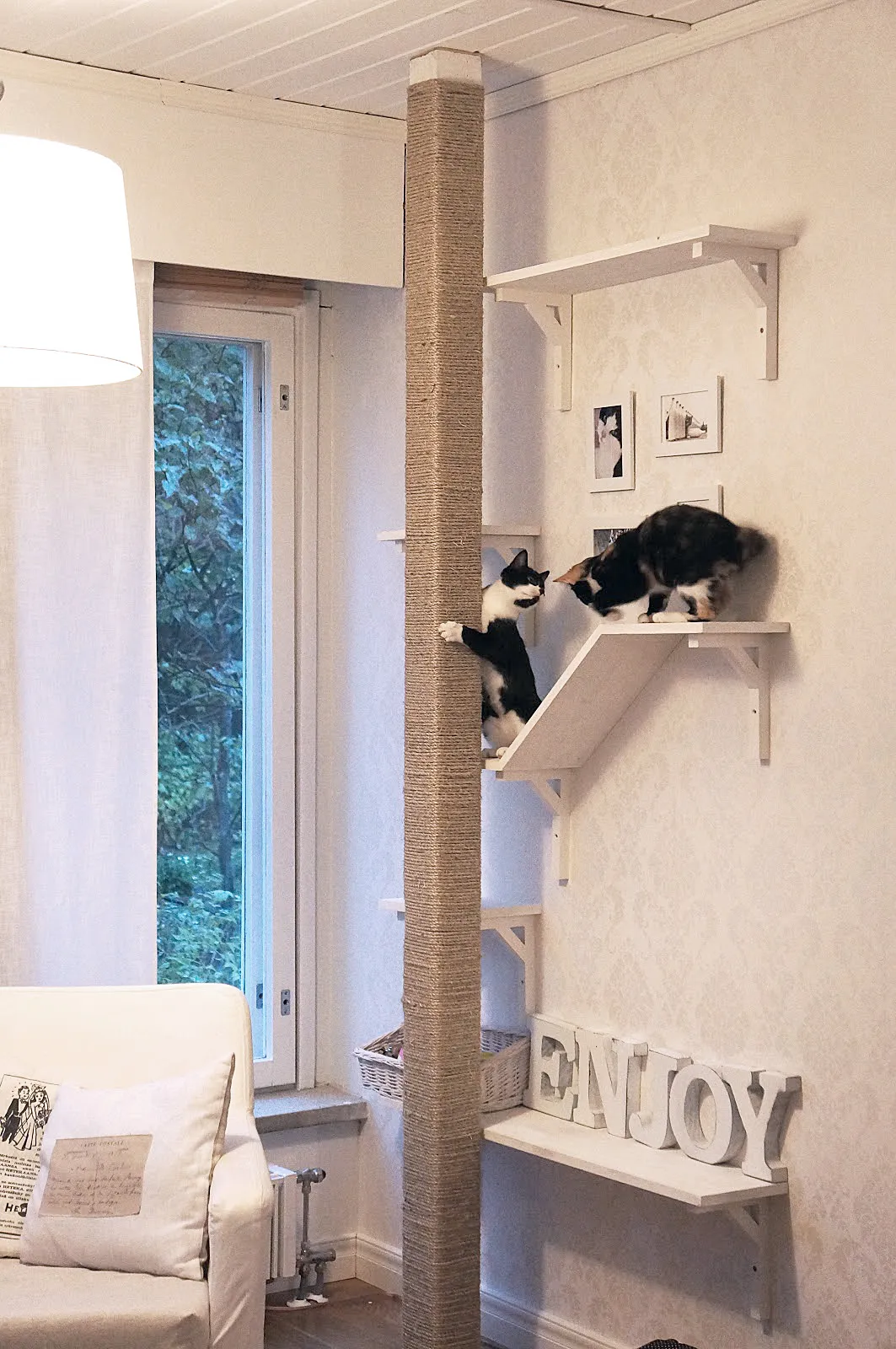 A cat friendly interior